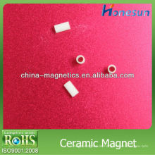 Keramik-Magnete D1x1.5mm